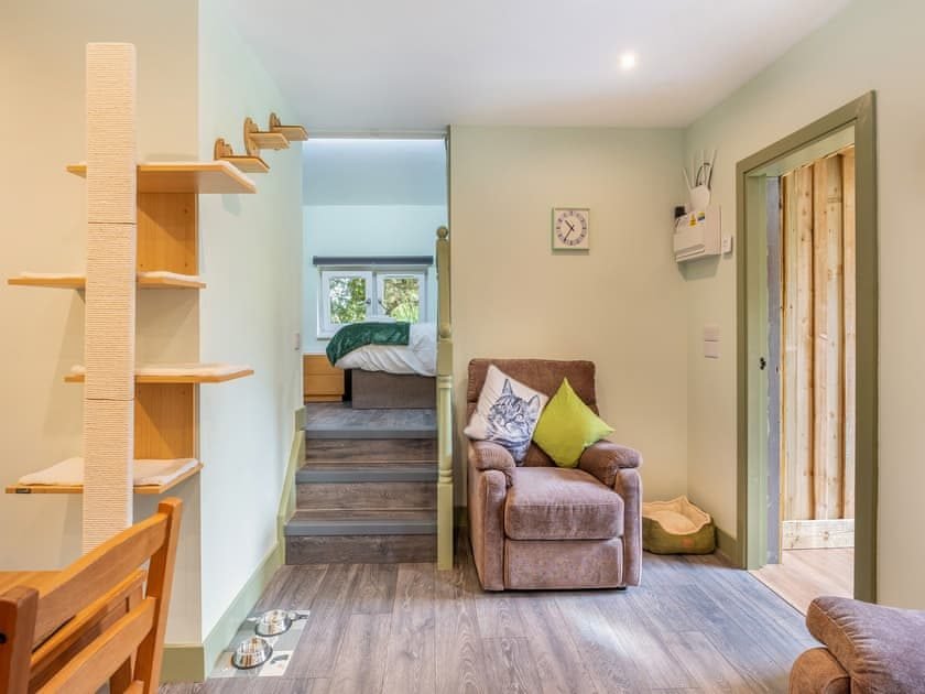 Cat climbing tower with scratching post and shelves, cat food bowls on the floor, an armchair and steps leading up to a raised bedroom