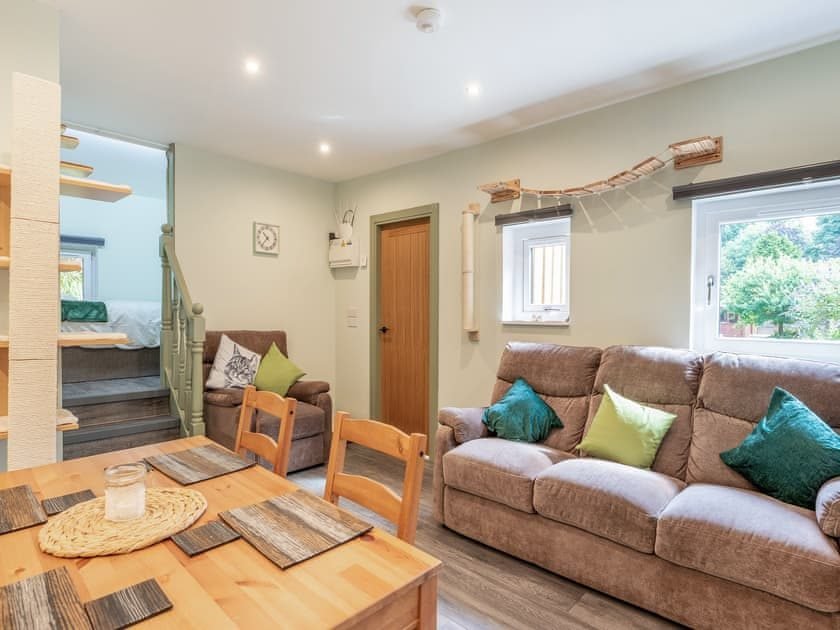 Open-plan living area with a wall-mounted rope bridge for cats, a tall scratching post, brown sofa with cushions, armchair and wooden dining table