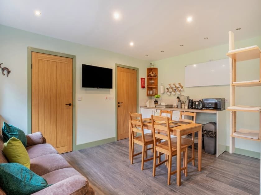 Living area with sofa, wall-mounted TV, wooden dining table with chairs, kitchenette counter and a cat climbing tower in the corner