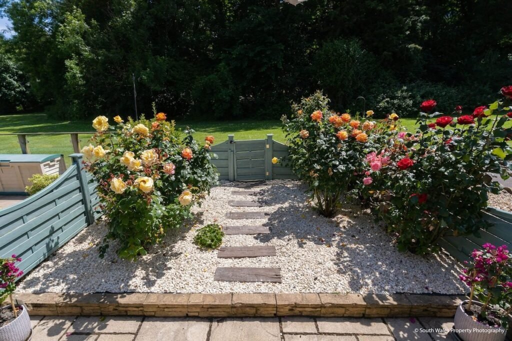 Gravel garden with stepping stones, flowering roses and a pale green gate beside a grassy area