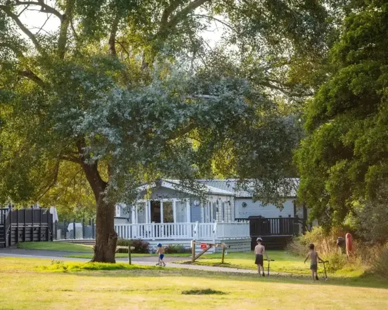 White holiday accommodation with decking beside a grassy area and mature trees at Shorefield Country Park