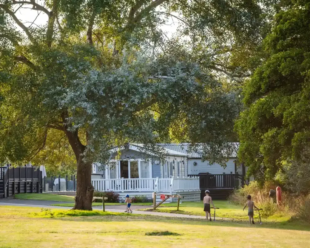 White holiday accommodation with decking beside a grassy area and mature trees at Shorefield Country Park