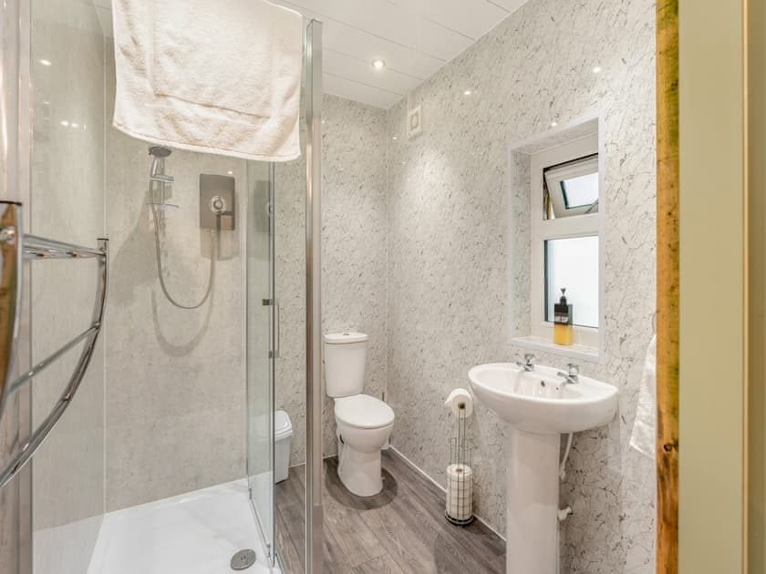 Shower room with a glass-door walk-in shower, toilet, pedestal basin, marble-effect wall panels and towel rail